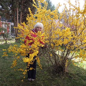 Фотография "Золотая осень в Адлере"