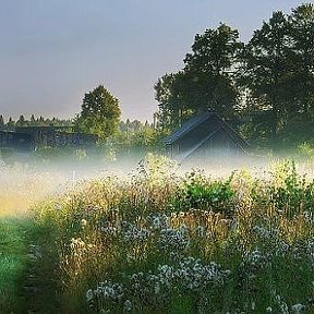 Фотография от Алексей Кострыкин