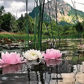 Фотография от Галина Кун (Шалевская)