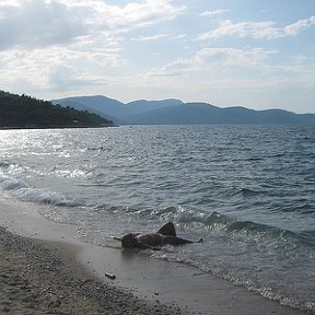 Фотография "На небе только и разговоров, что о море, и о закате! Там говорят о том, как чертовски здорово наблюдать за огненным шаром. Как он тает в волнах и еле видимый свет, словно от свечи, горит где-то в глубине."