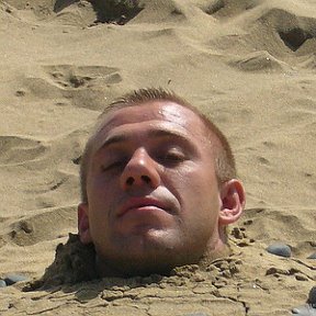 Фотография "Gran Canaria 2008"