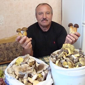 Фотография "Приезжайте в гости в грибной край Изюм!"