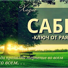 Фотография "Сабр"