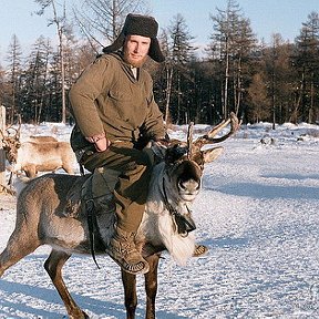 Фотография "Мы поедим, мы помчимся..."