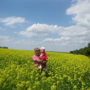 Фотография от Наталья Коломиец(Чипига)