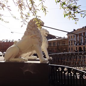 Фотография "Львиный мост, наб.канала Грибоедова."