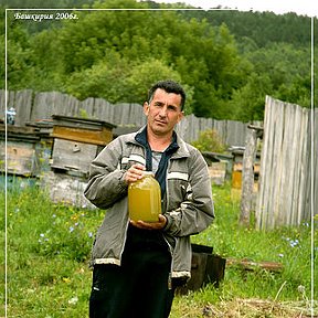 Фотография "На пасеке. Визитная карточка Башкортостана."