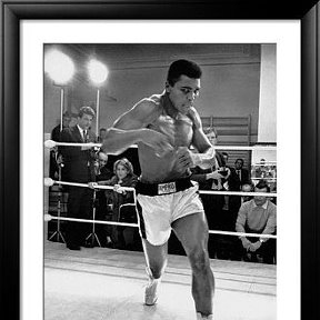 Фотография "Float like a butterfly, sting like a bee, your hands can't hit, what your eyes can't see"