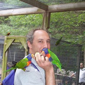 Фотография "В Зоопарке "Claws and Paws" в Пенсильвании, Июнь 2007"