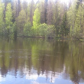 Фотография от Сергей Селезнев