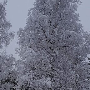 Фотография от Абдурахим Саидматов