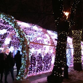 Фотография "Новогодняя Москва"