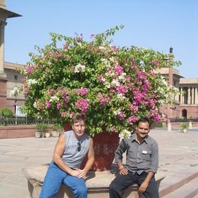 Фотография "Это я с "товарищем" в Дели"