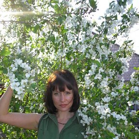 Фотография "Я этой весной в саду. Под единственной яблоней."