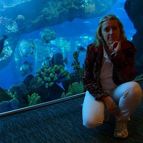 Фотография "я в аквариуме г.Думай"