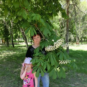 Фотография от Людмила Манина( Чеботарева)