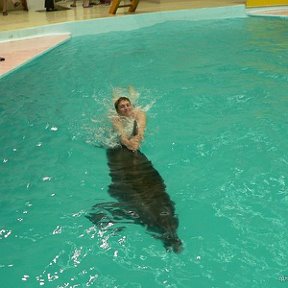 Фотография "Геленджикский дельфинарий, 2007 год. Супер энергетика!"