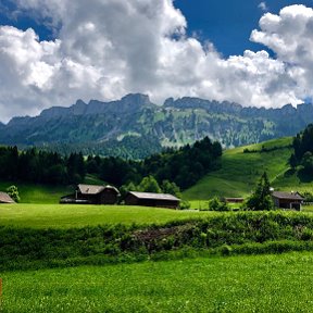 Фотография от Елена Шарова(Скрипникова)