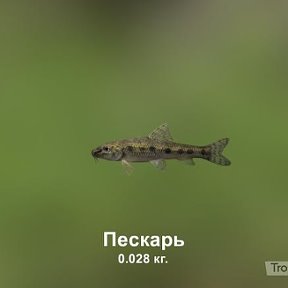 Фотография от Сергей Пащатый