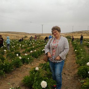 Фотография от ЛЕНА АЗЕРОВА(ШУЛЬМАН)