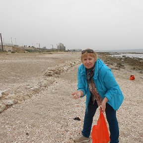 Фотография "Собираем ракушки на берегу Средиземного моря."