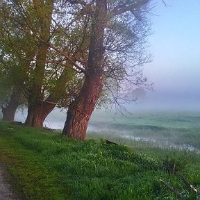 Фотография от Людмила Кульпина (Пушкина)