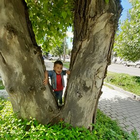 Фотография от Agayan Hovo Seda Simonyan