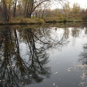 Фотография от Александр Найданов