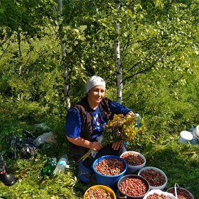 Фотография от Гюзель Аллаярова(Низамутдинова)