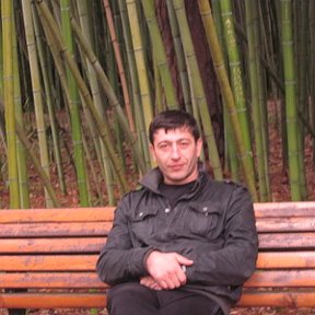 Фотография "24.04.2011-Сухумский Ботанический Сад-Бамбуковая аллея"
