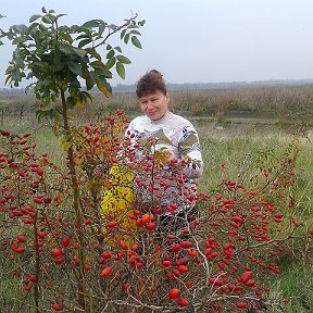 Фотография от Валентина Семенюк