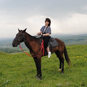 Фотография "Подъем на кабардинских скакунах на высоту 1000 м. 2011 год. Кабардино-Балкария."