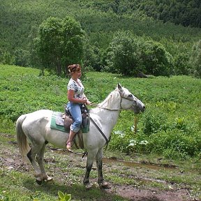 Фотография "Красавчик успевает на ходу перекусить"