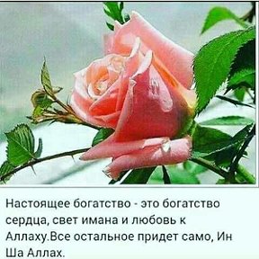 Фотография от Мусульманка Альхамдулиллах