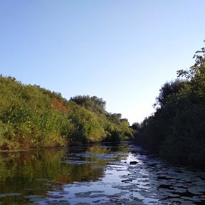 Фотография от НАДЕЖДА ОРЛОВА