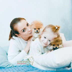 Фотография от Нуждина Ирина Kennel Luxurypoms