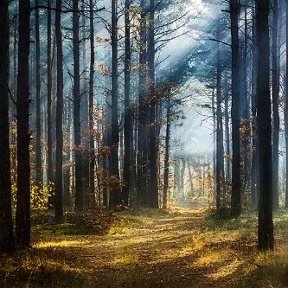 Фотография от Александр Барляев