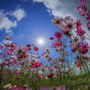 Фотография от Астра Карыпбаева