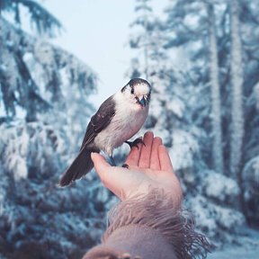 Фотография от Хранитель моих воспоминаний✨