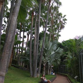 Фотография "Loro Parque, Tenerife"