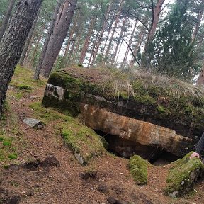 Фотография от сергей жигунов