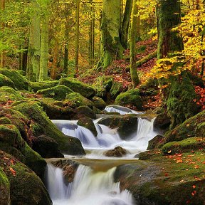 Фотография от Асия Закирьянова (Такаева)