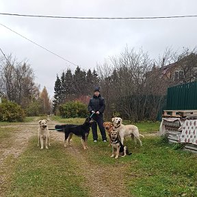 Фотография от Наталья Полыгалина