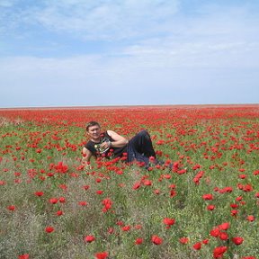 Фотография "Чуйская долина"