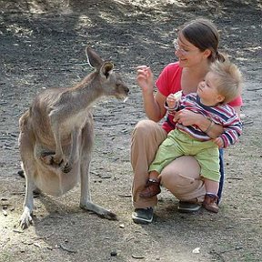 Фотография "А живем мы в стране кенгуру. На снимке я с Матвеем."