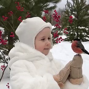 Фотография от ❄ ❄ ❄