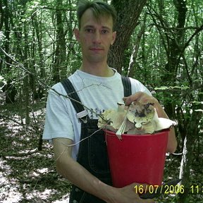 Фотография "Я собираю грибы на Микензиевых горах."