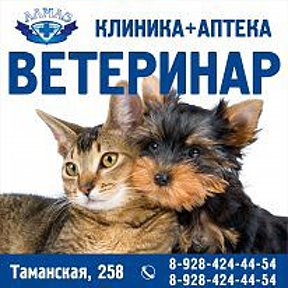 Фотография от Ветеринар клиника и аптека