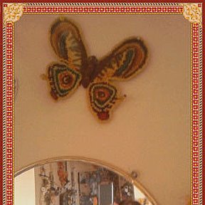 Фотография "эта бабочка прилетела из Харькова....                   в Америку и уже давно сидит на этой стене...."