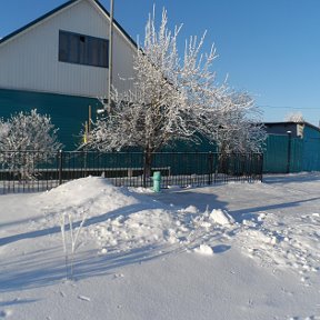 Фотография "Наш дом в снежном уборе."